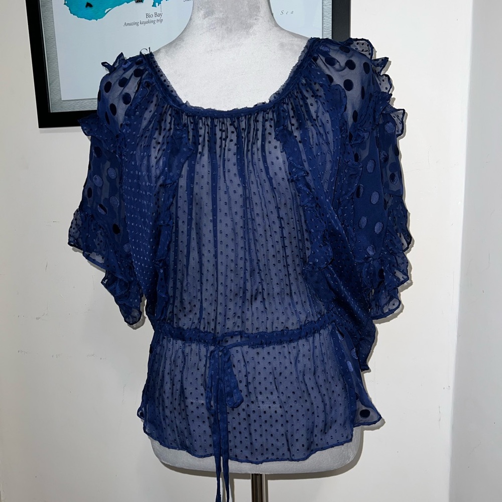 Beautiful Rebecca Taylor Elegant Blue Sheer Polka Dot Ruffled Women's Top Size 6